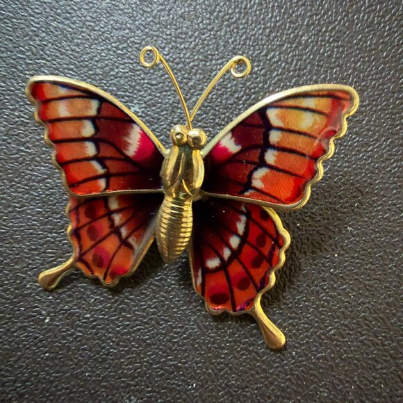 Colorful Butterfly Brooch Set - Picture 8 of 12